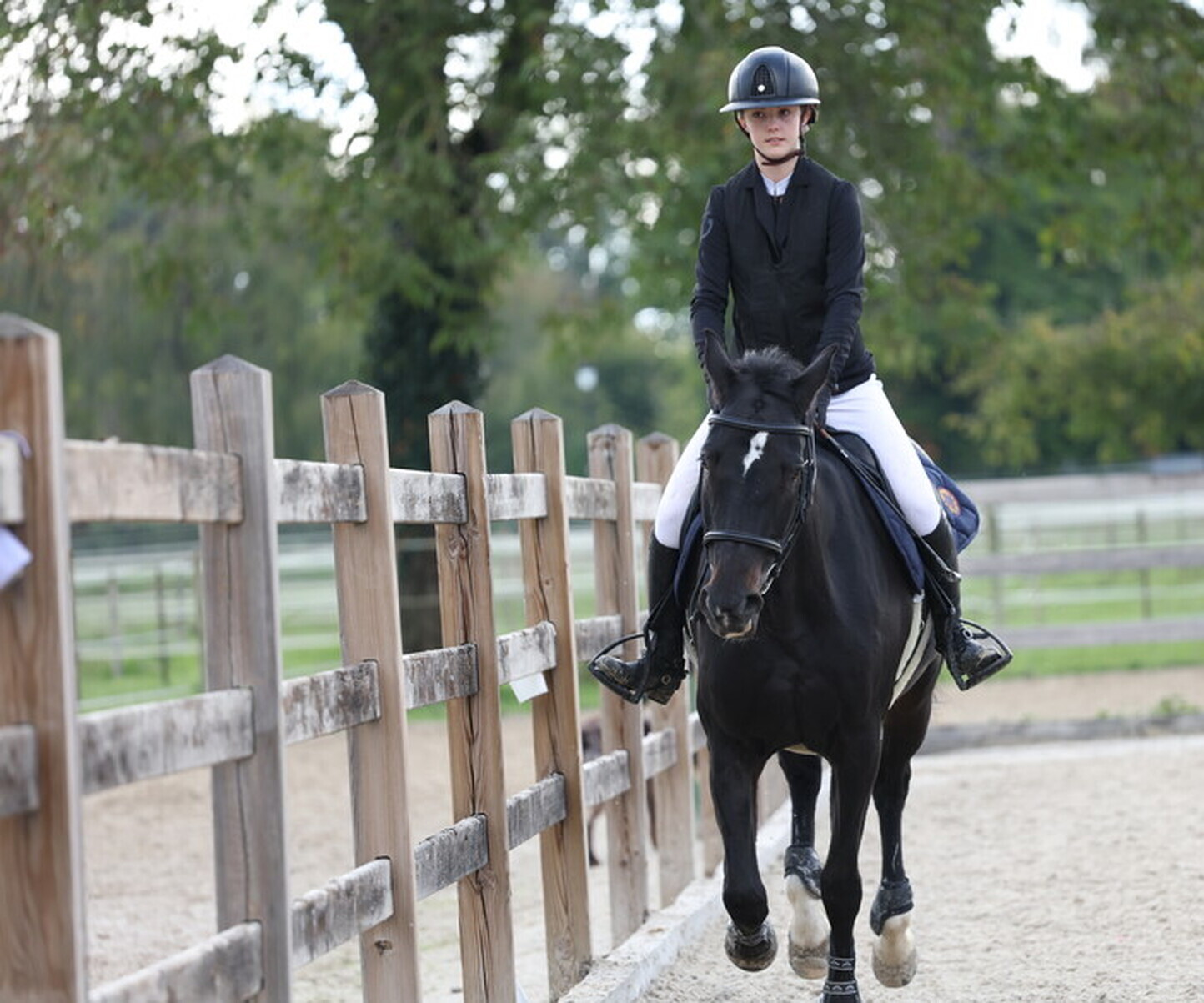 Description de l'image