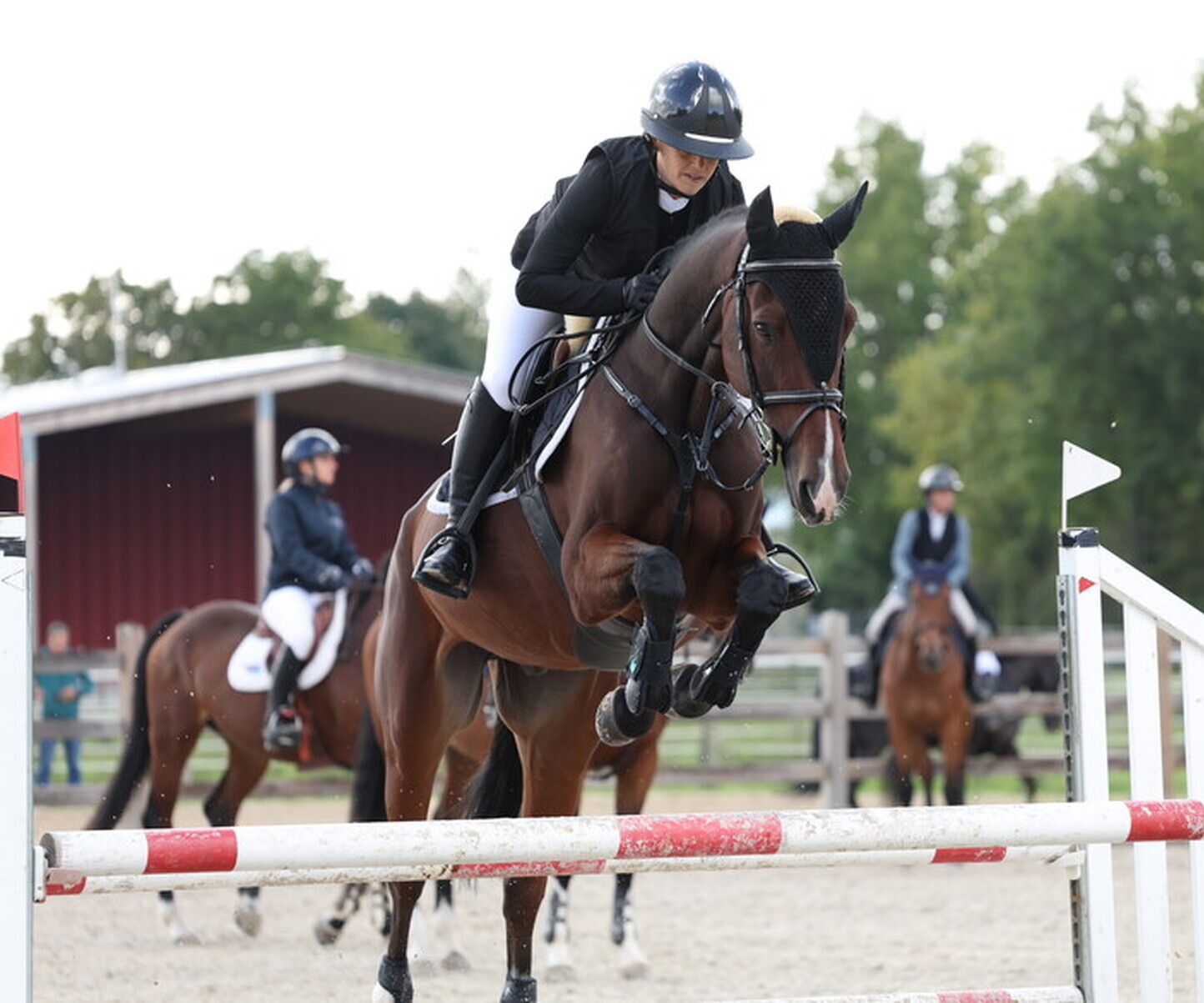 Description de l'image