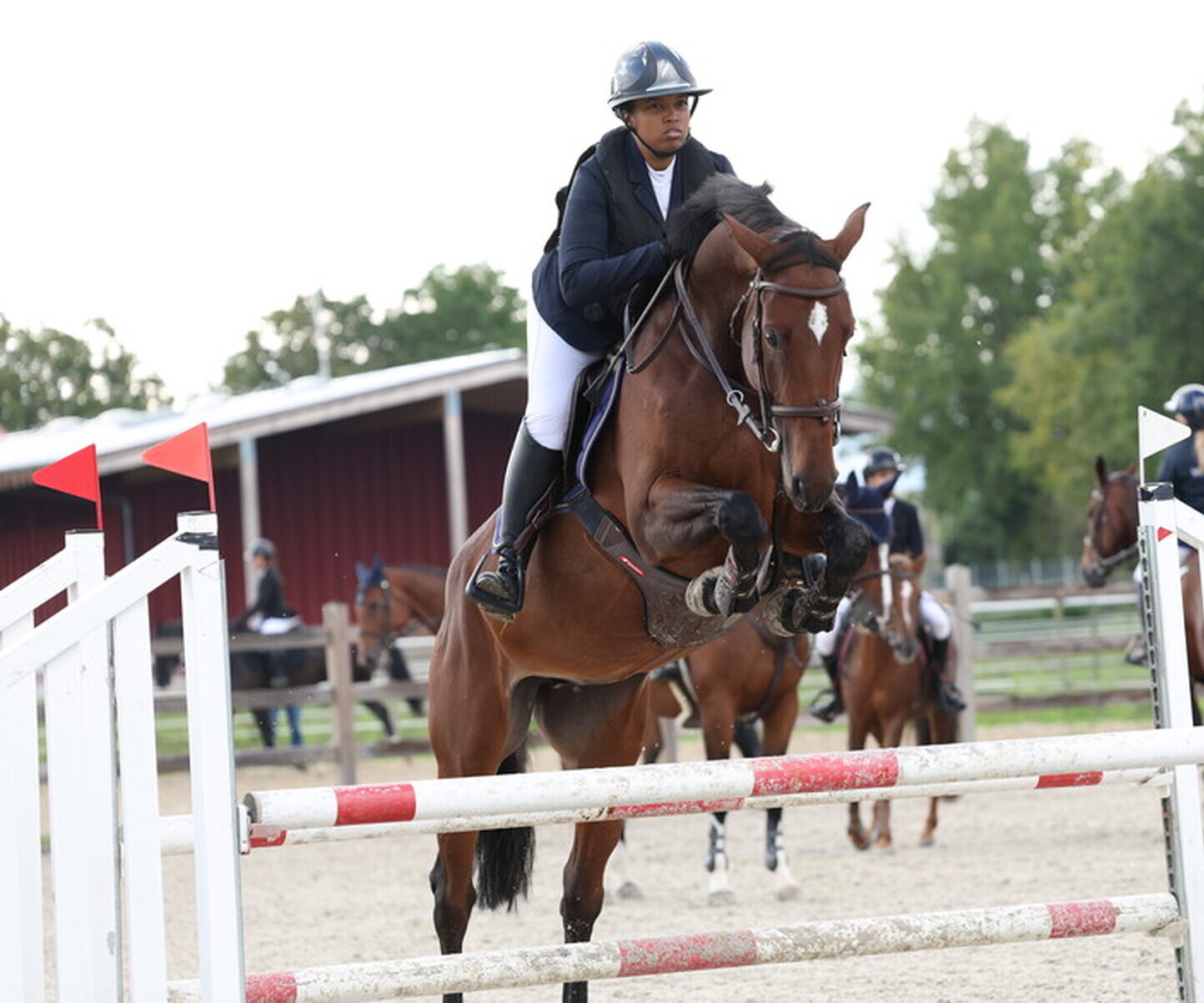 Description de l'image