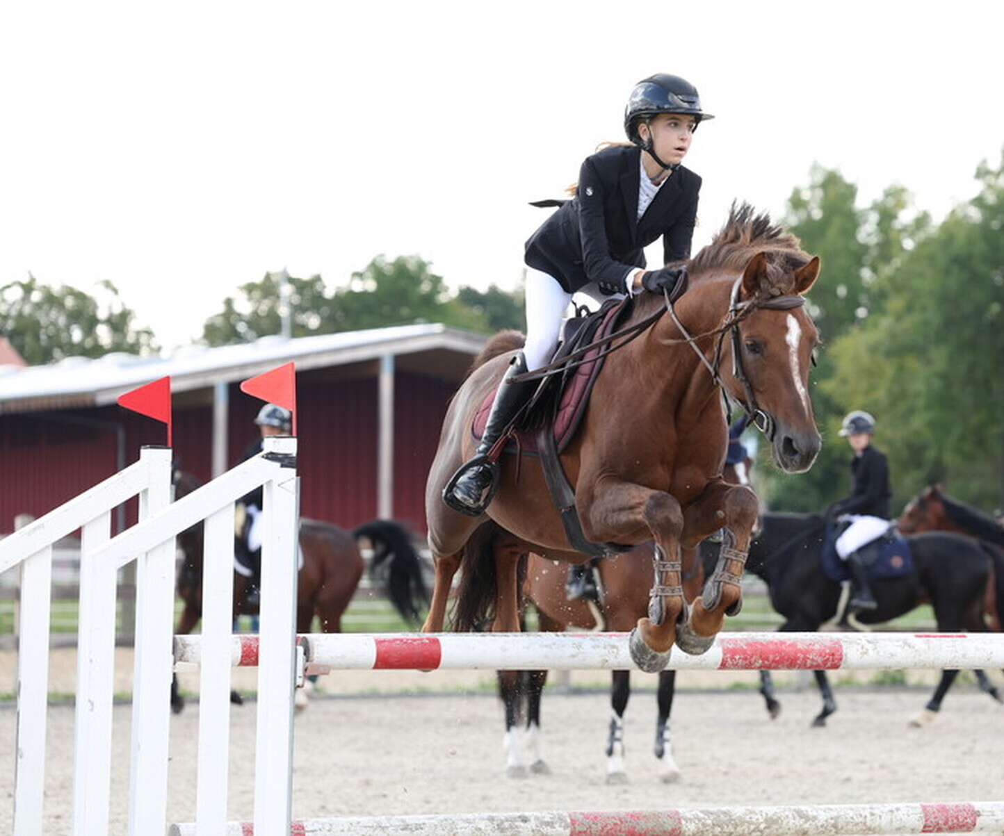 Description de l'image