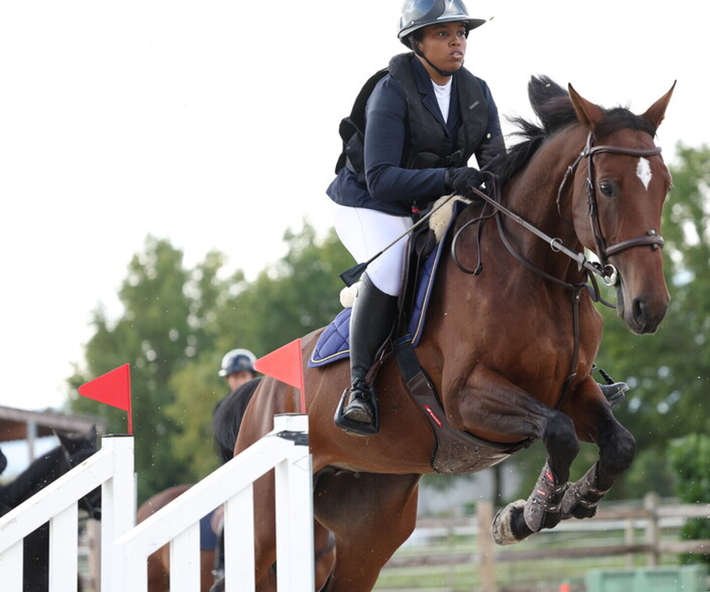 Description de l'image