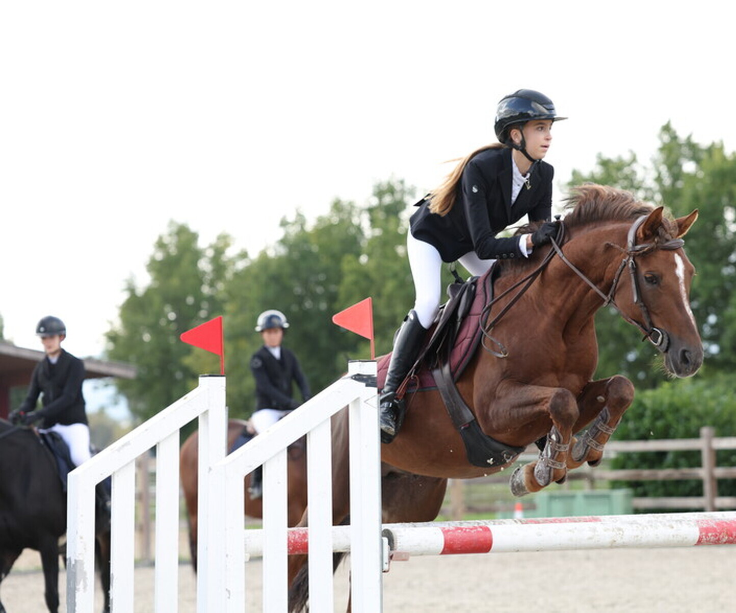 Description de l'image