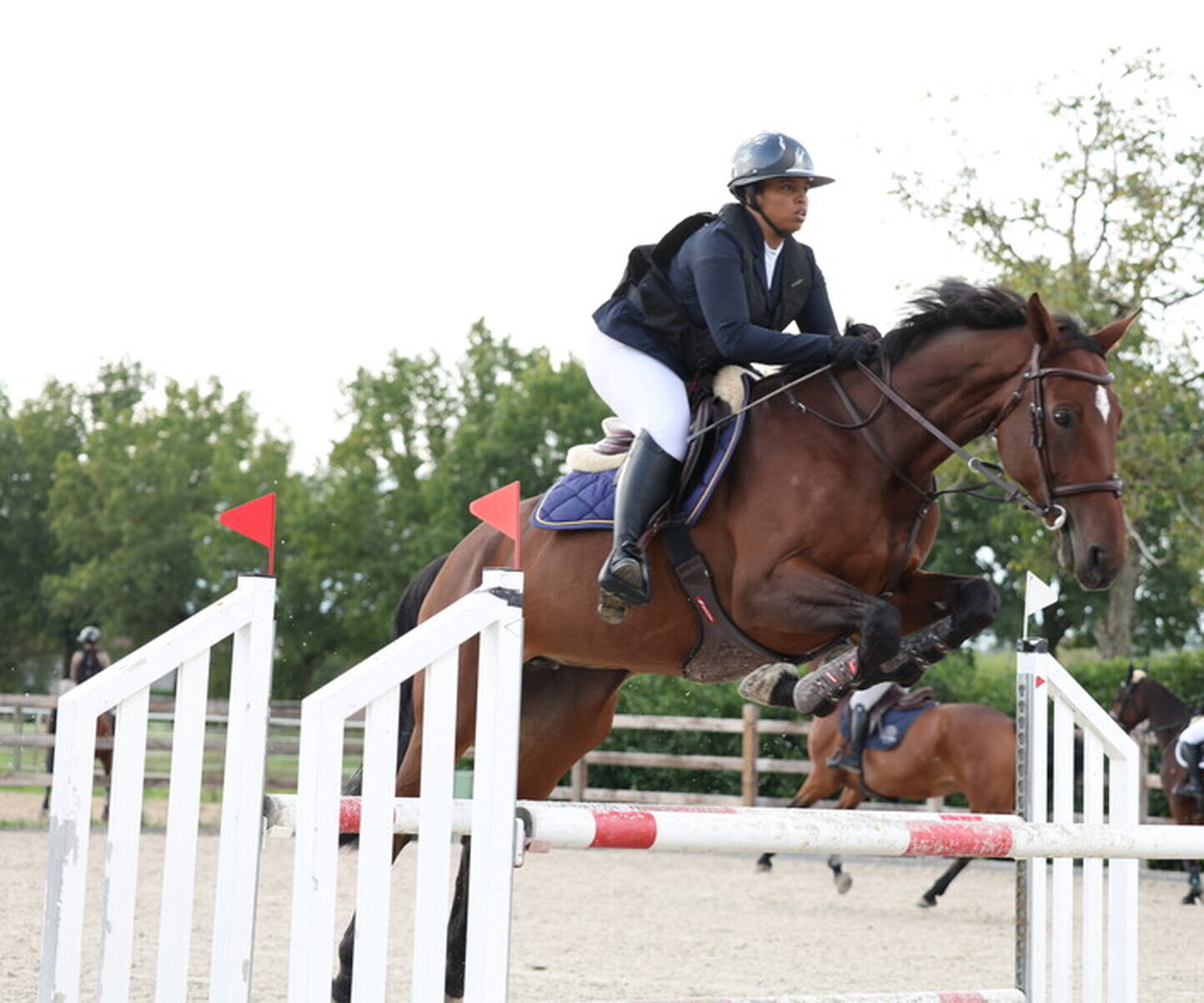 Description de l'image