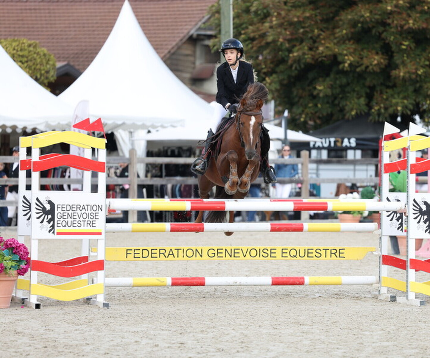 Description de l'image