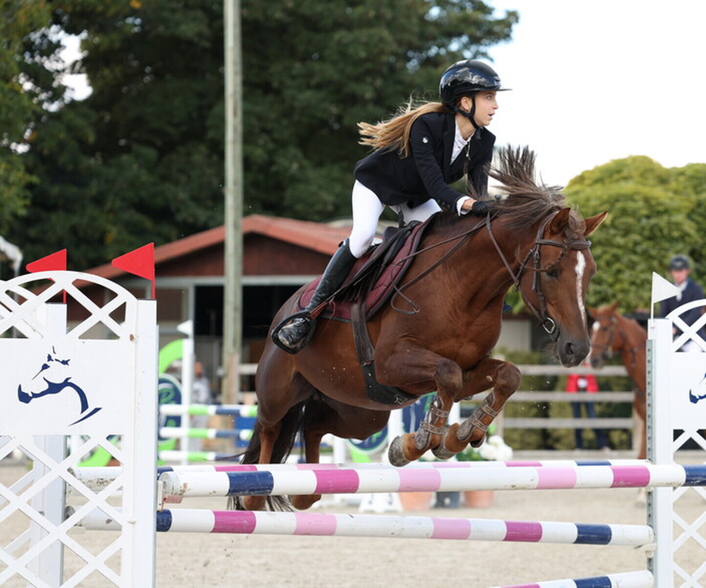 Description de l'image