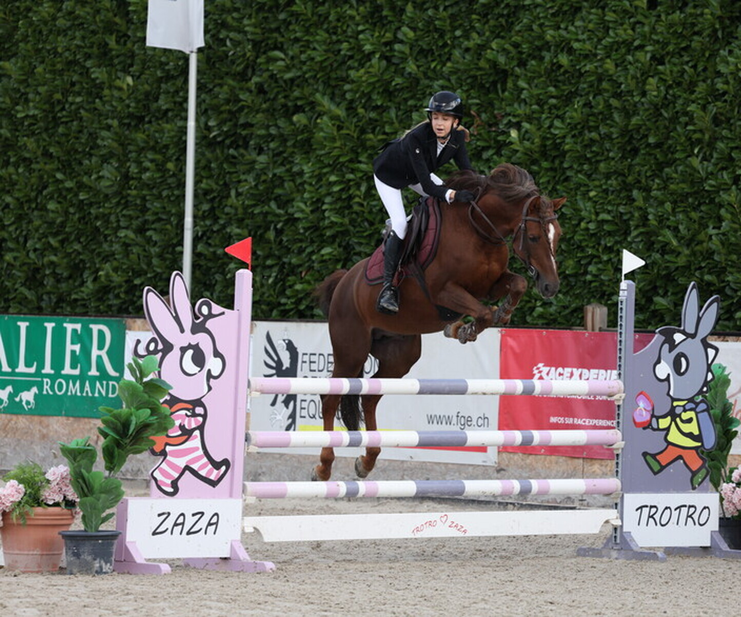 Description de l'image