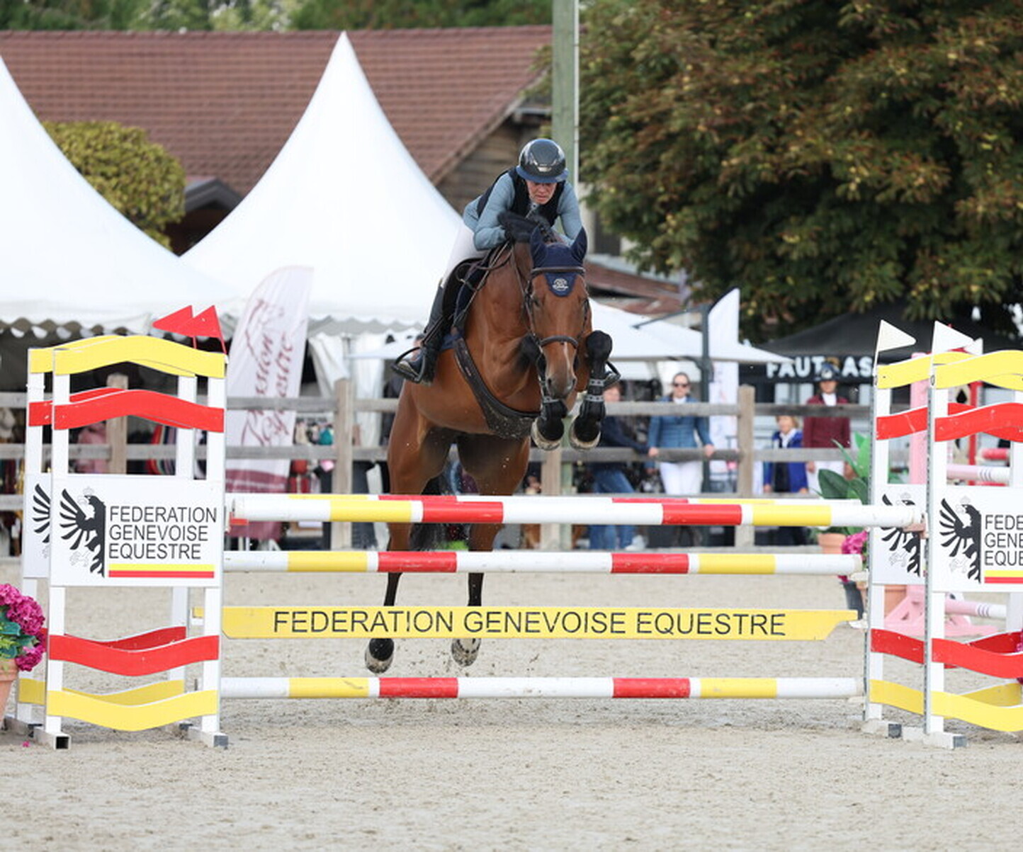 Description de l'image