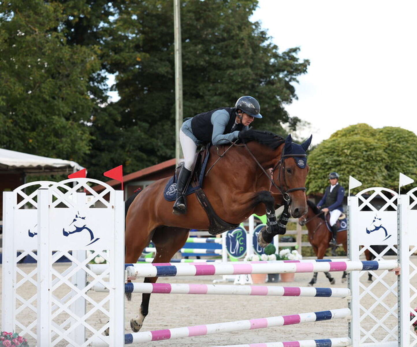 Description de l'image