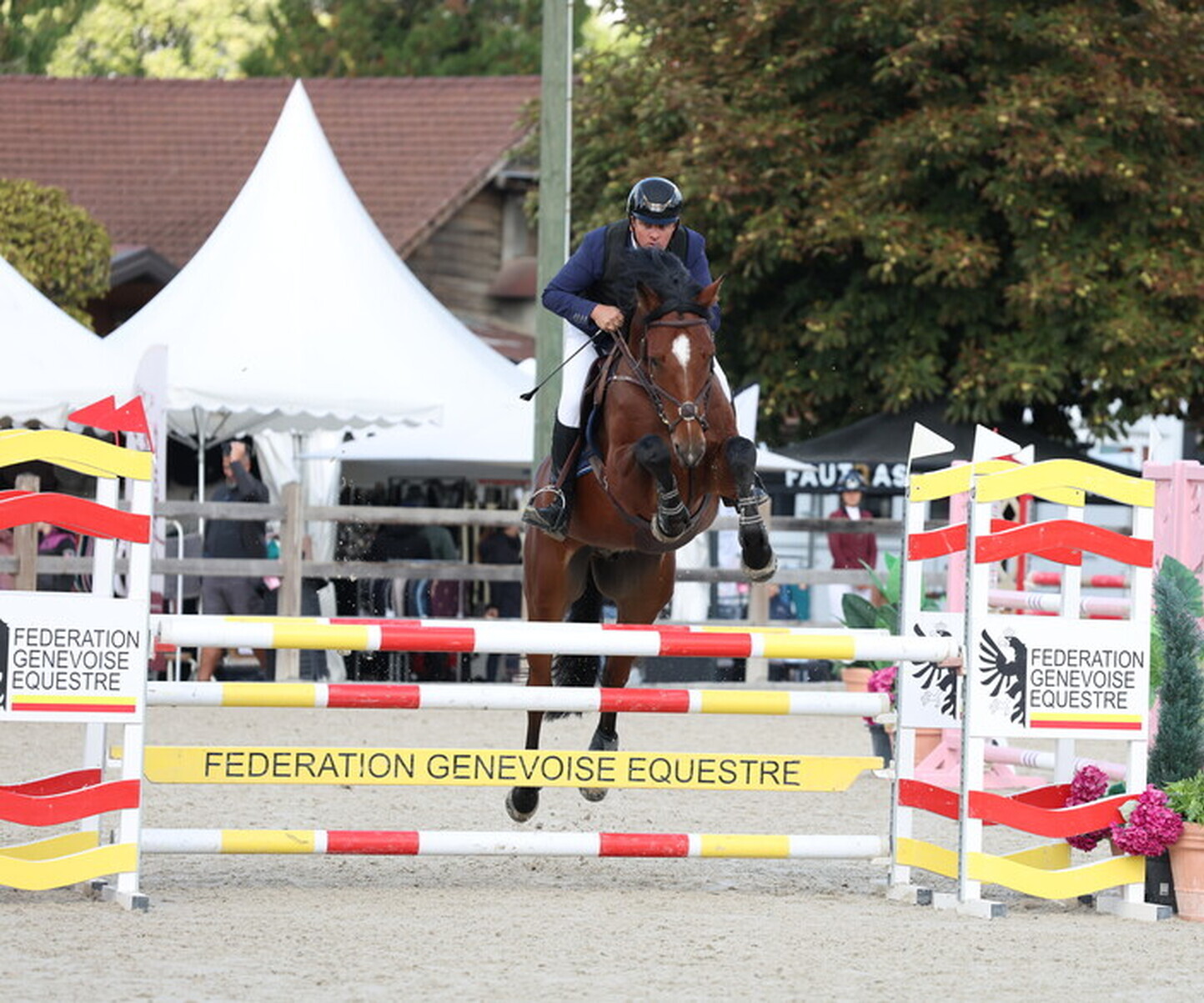 Description de l'image