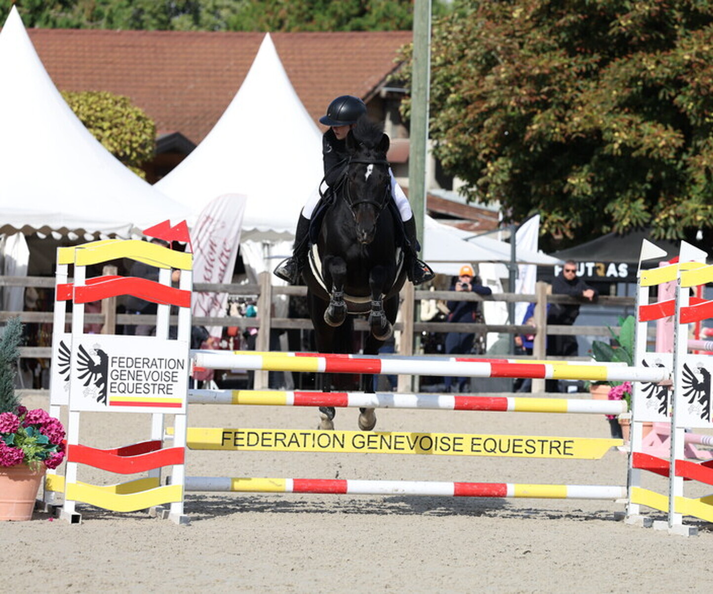 Description de l'image