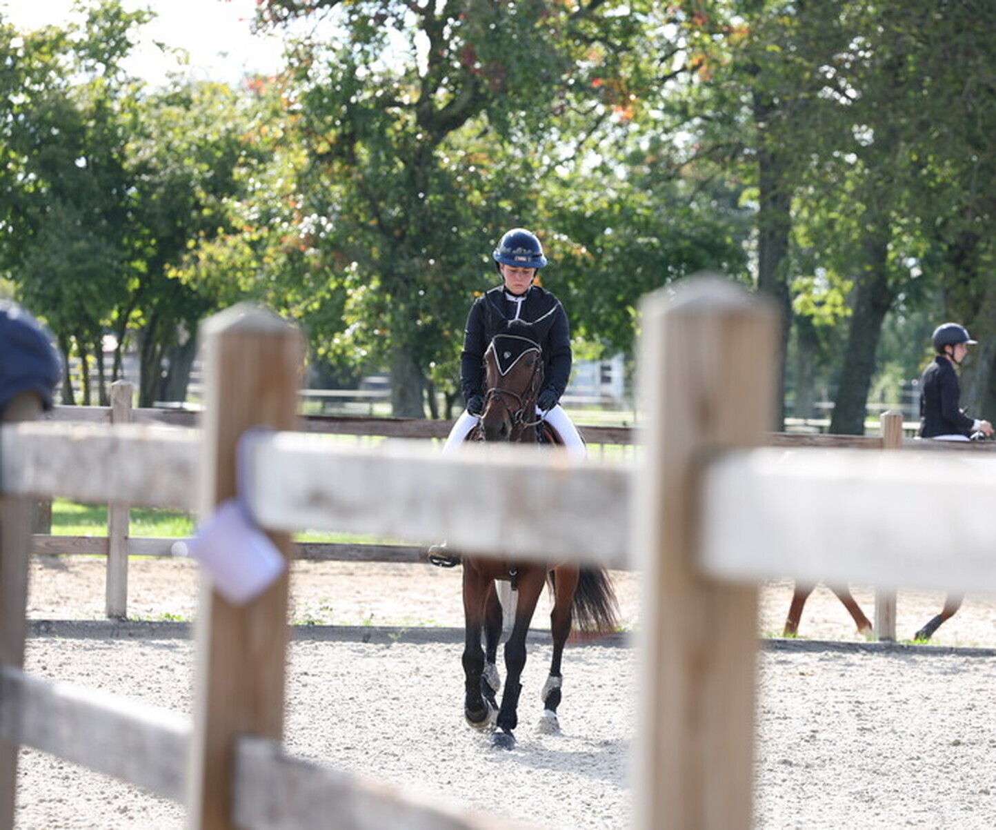 Description de l'image