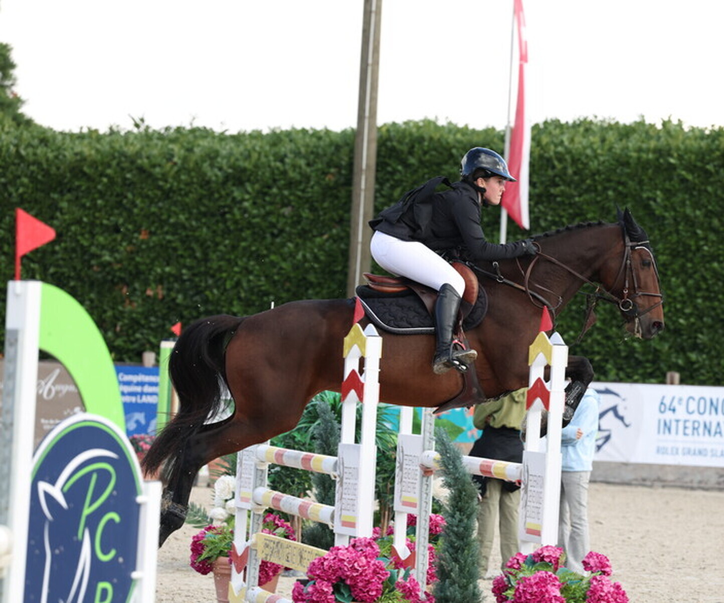 Description de l'image