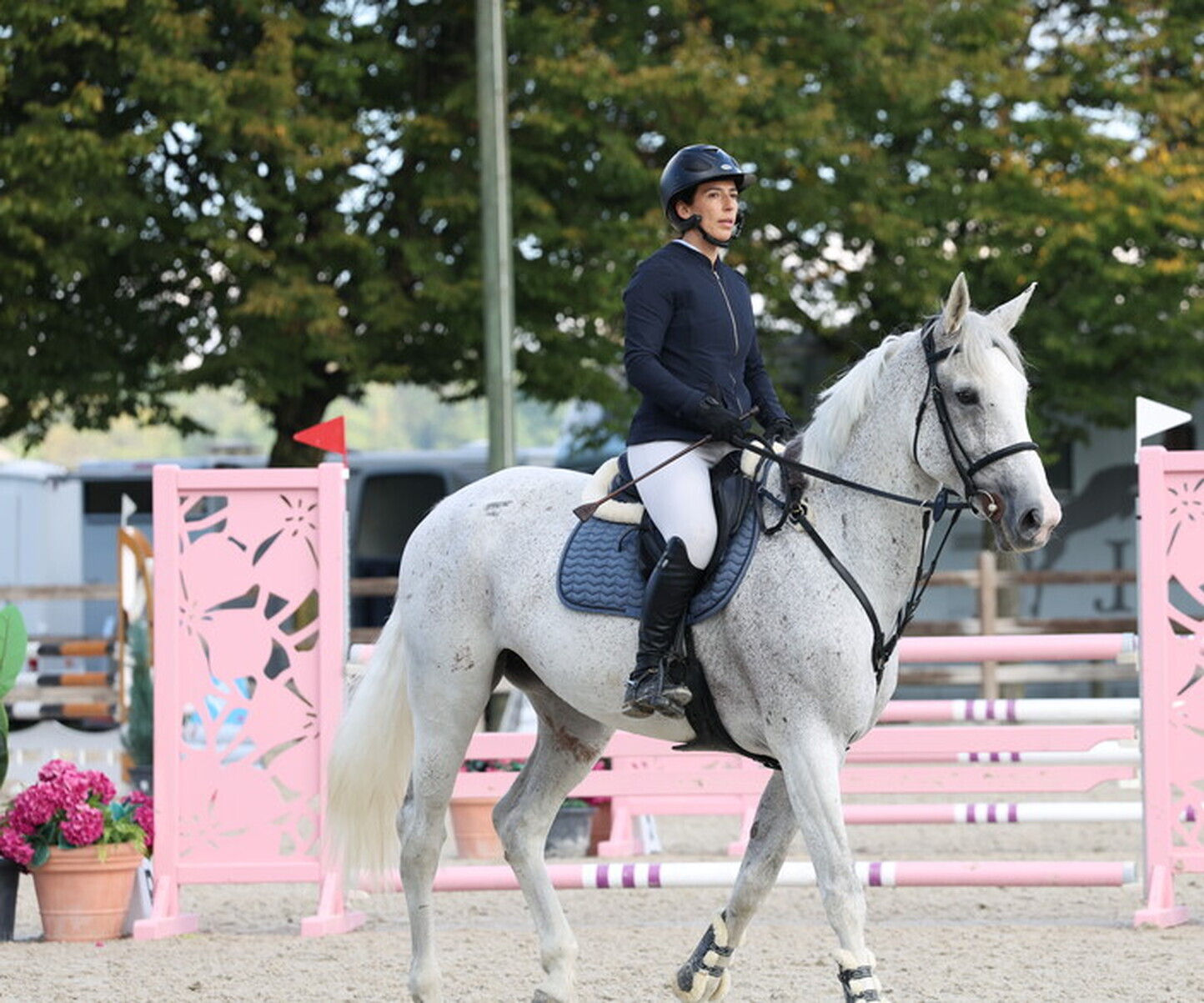 Description de l'image