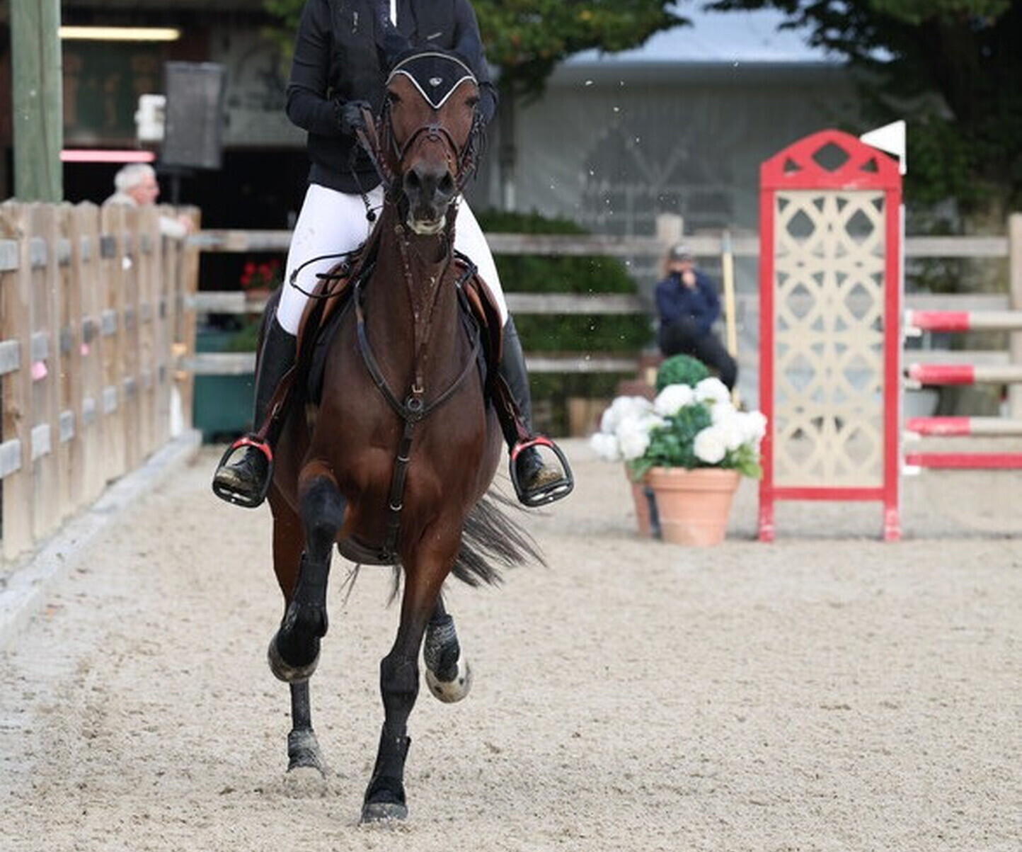 Description de l'image