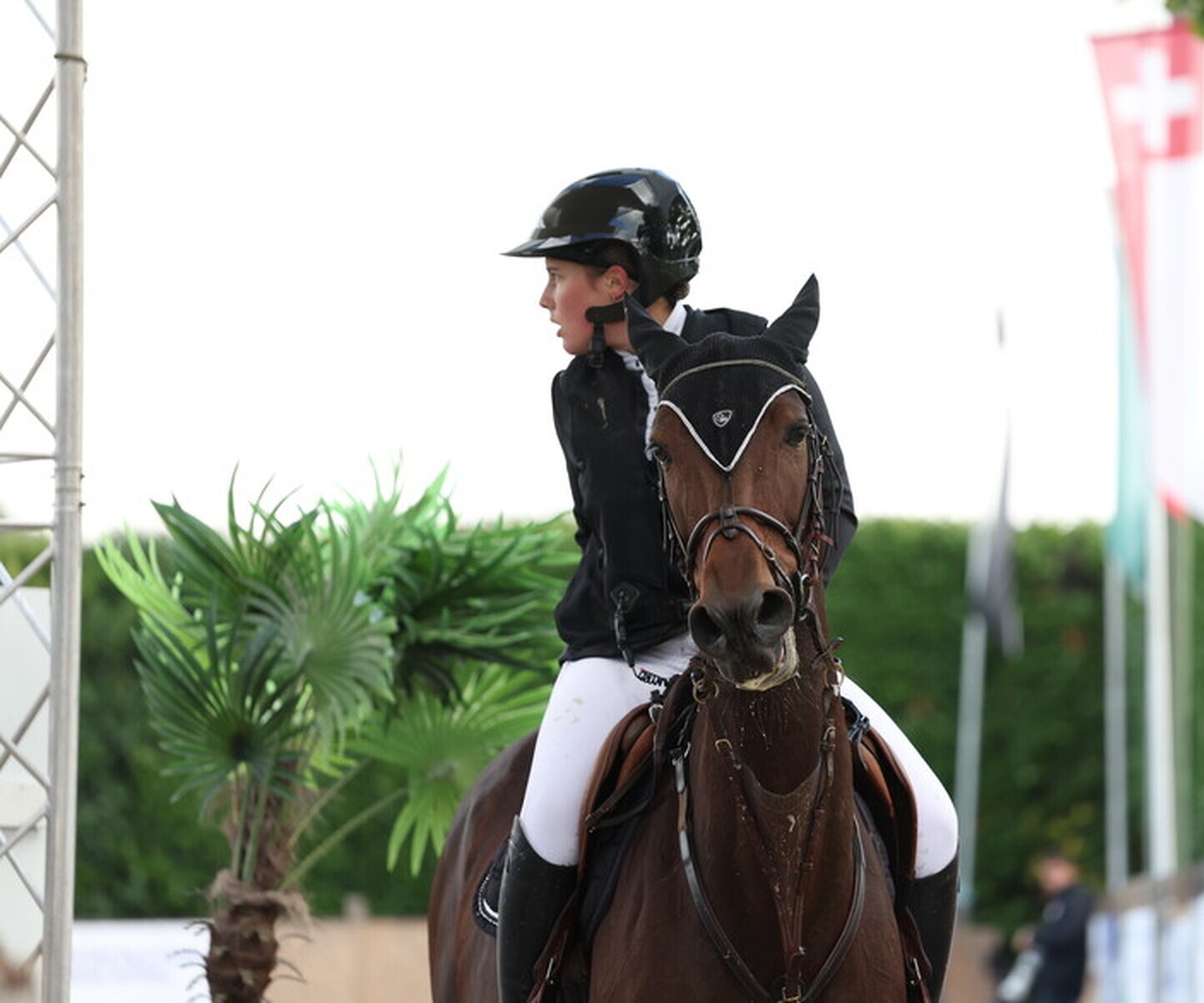 Description de l'image