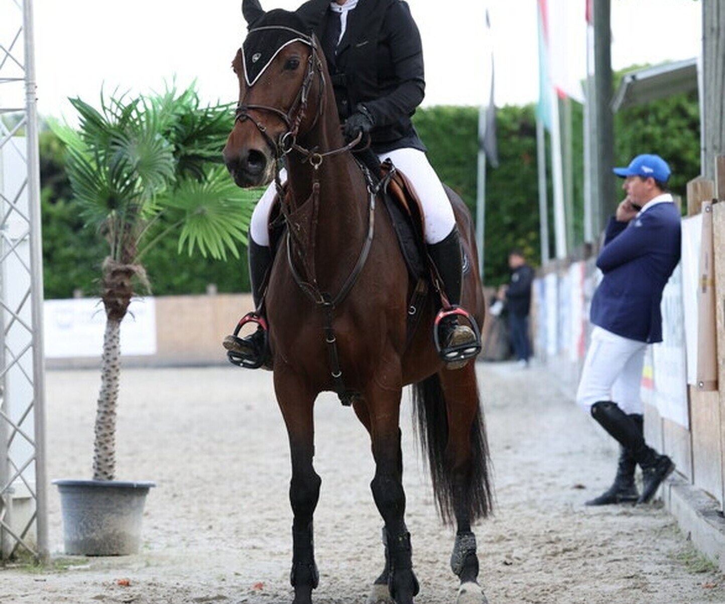 Description de l'image