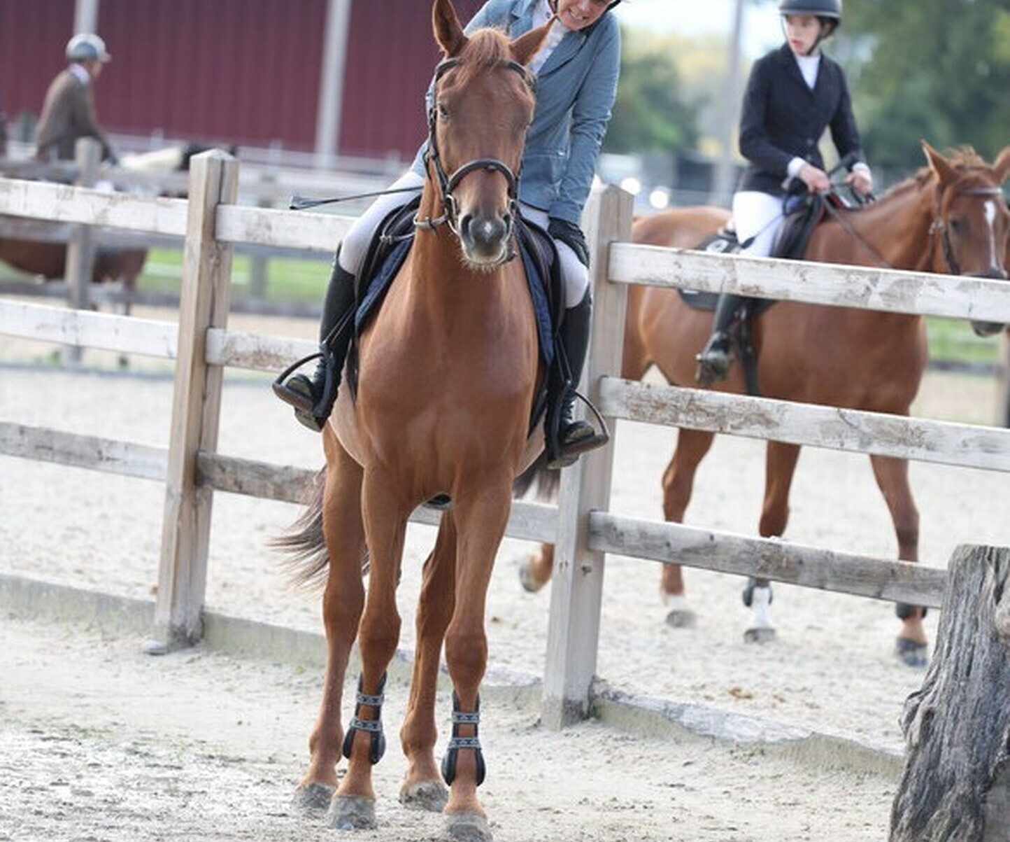 Description de l'image