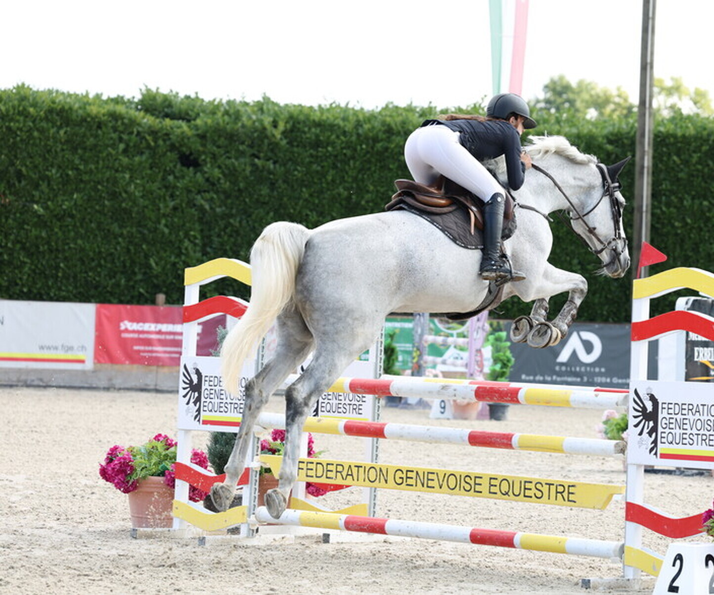 Description de l'image