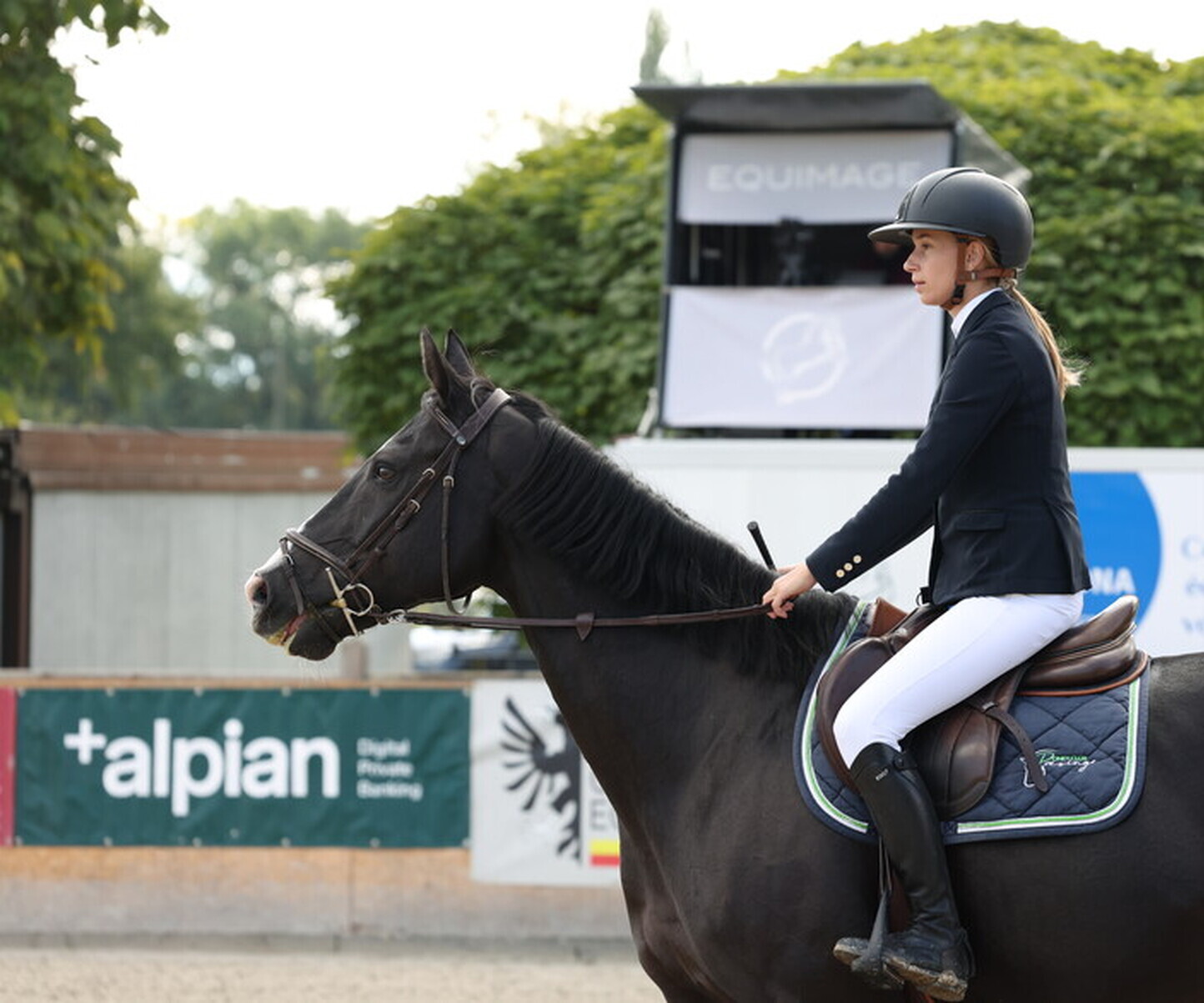 Description de l'image