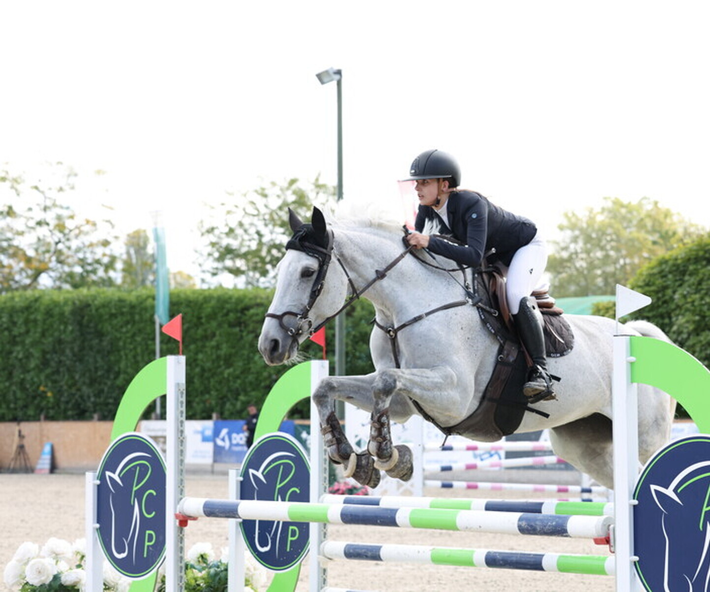 Description de l'image