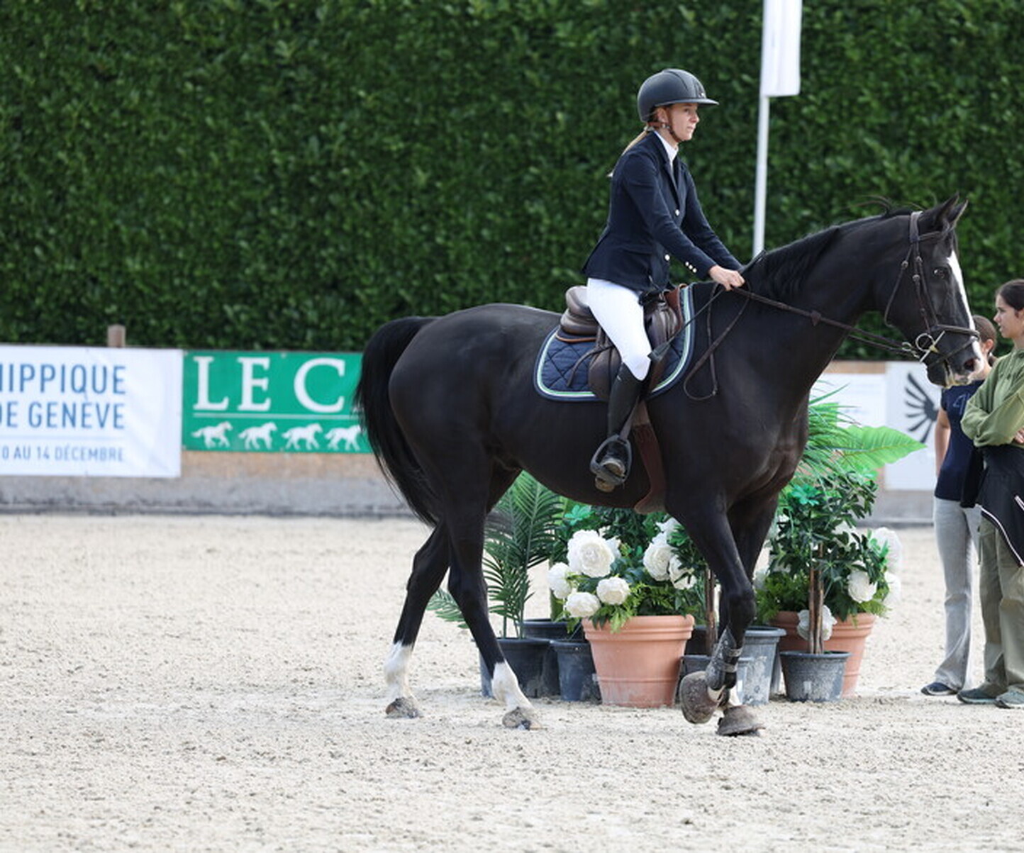 Description de l'image