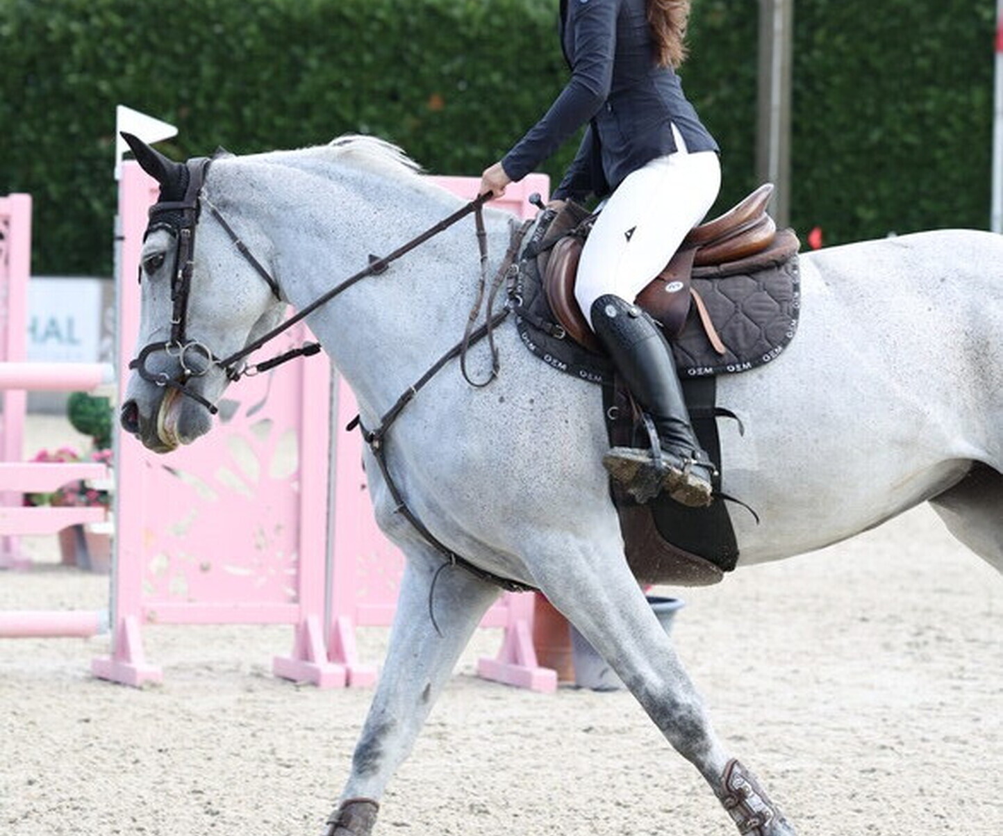 Description de l'image