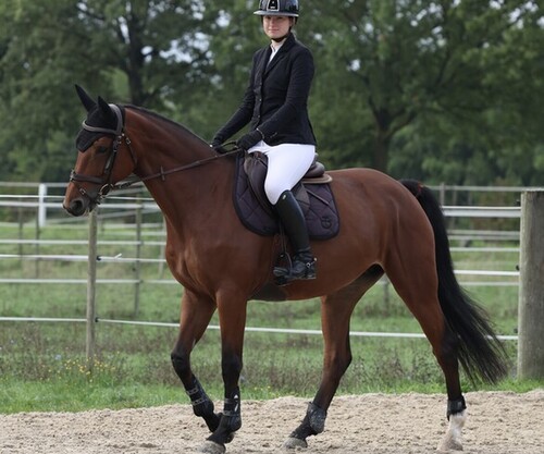 Crête x Presinge 2.0