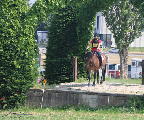 Satigny 2023 - Championnats Suisse de TREC