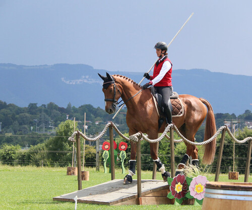 Equitation de Travail Ecurie du Bison Blanc 2017