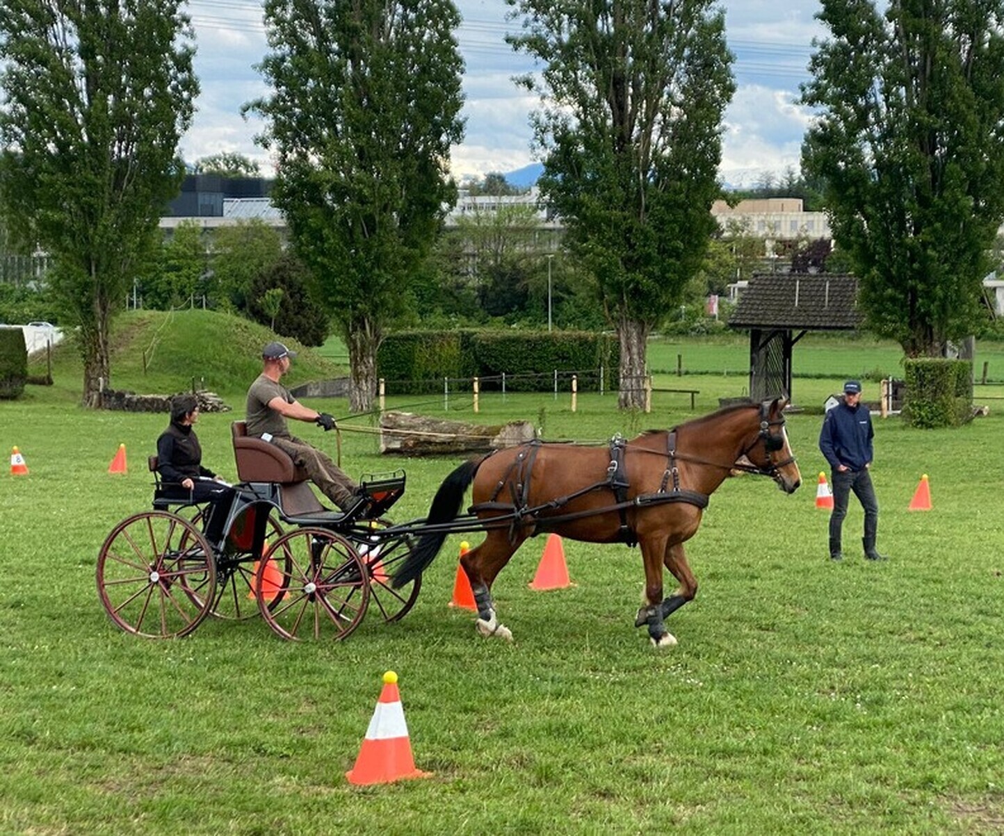 Cours d'attelage de la SAGE