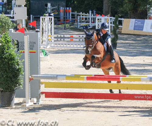 Finales Poneys La Gambade 2018