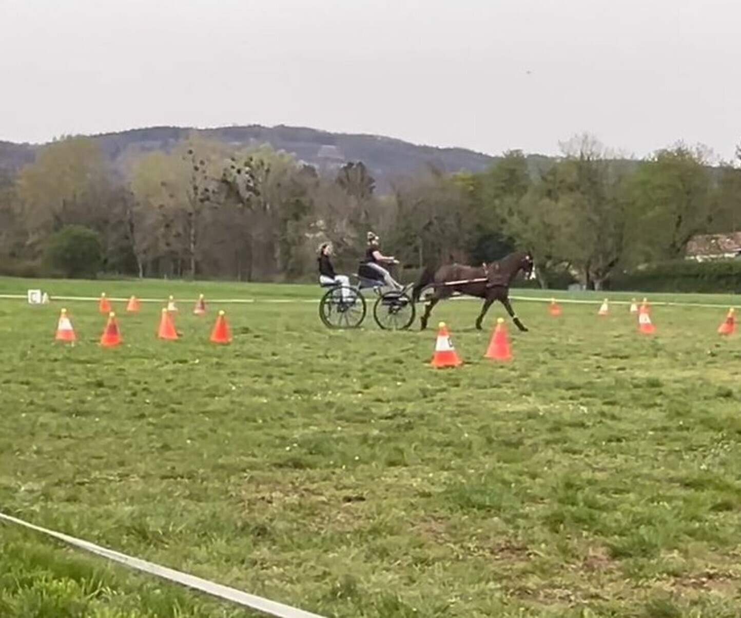 Stage d'Attelage de la FGE