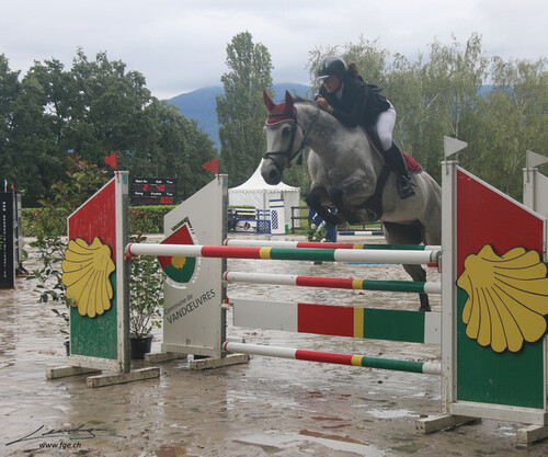 Finale Genevoise de Saut R125 Vandoeuvres 2020
