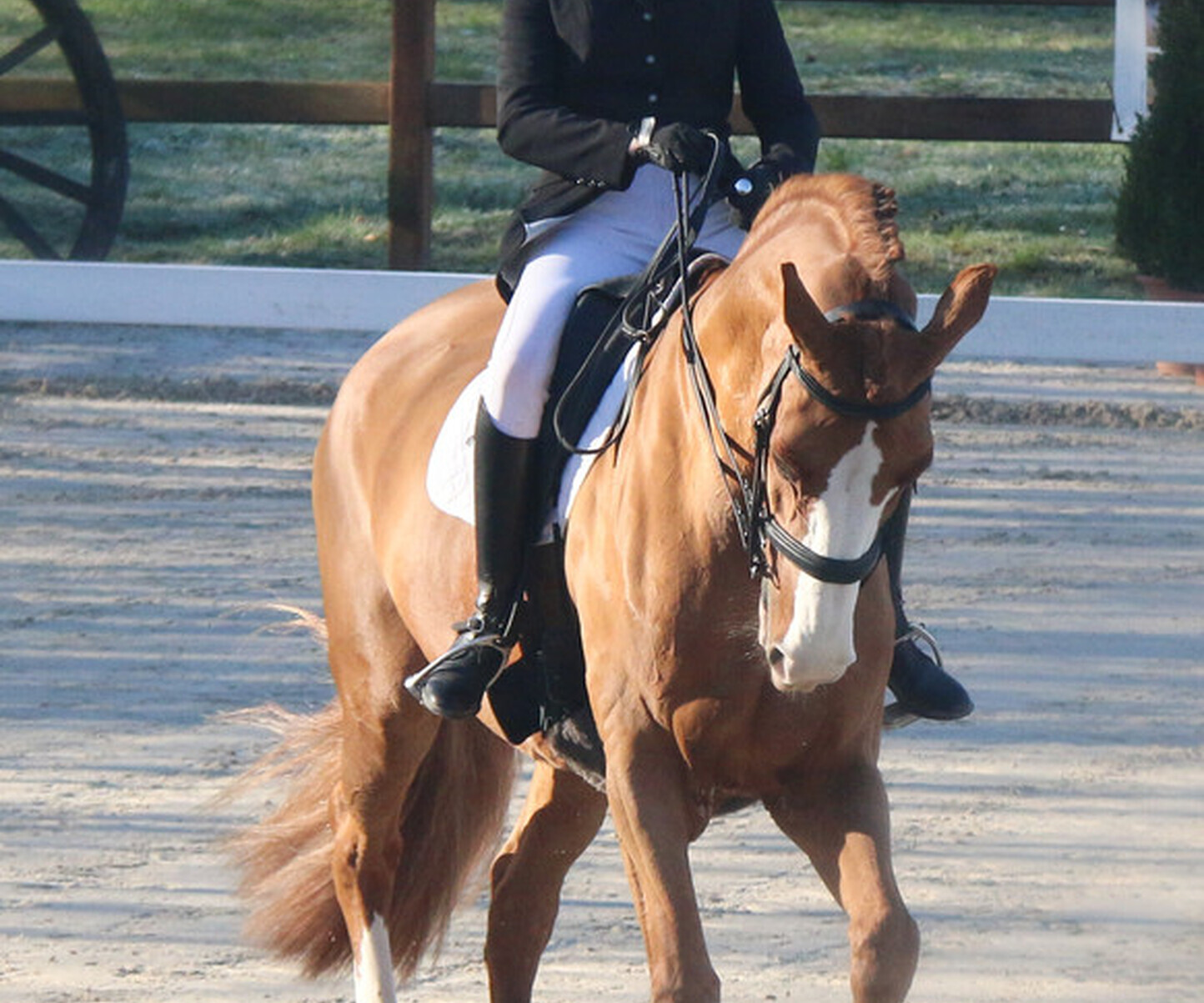 Dressage à Evordes