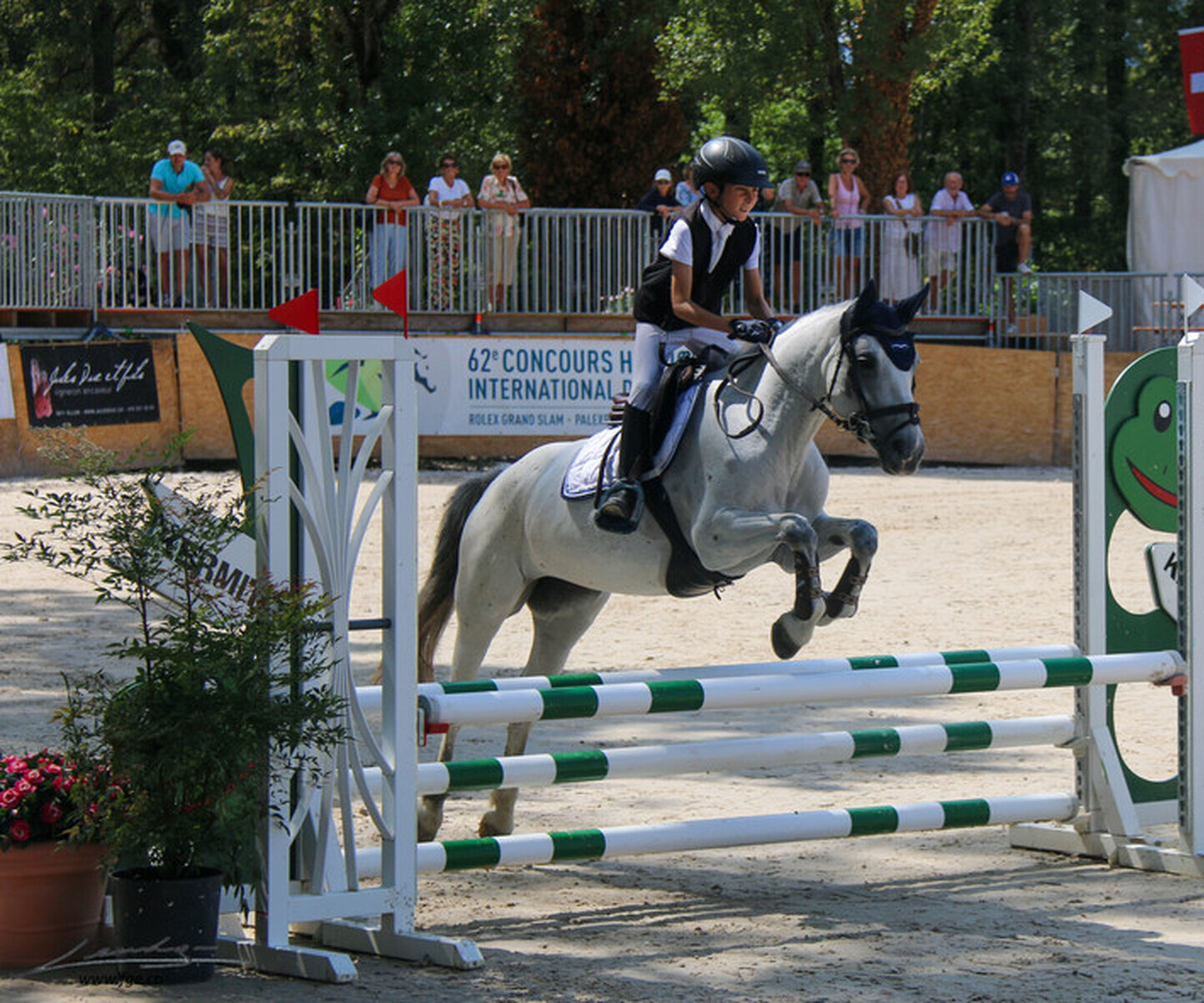 Description de l'image