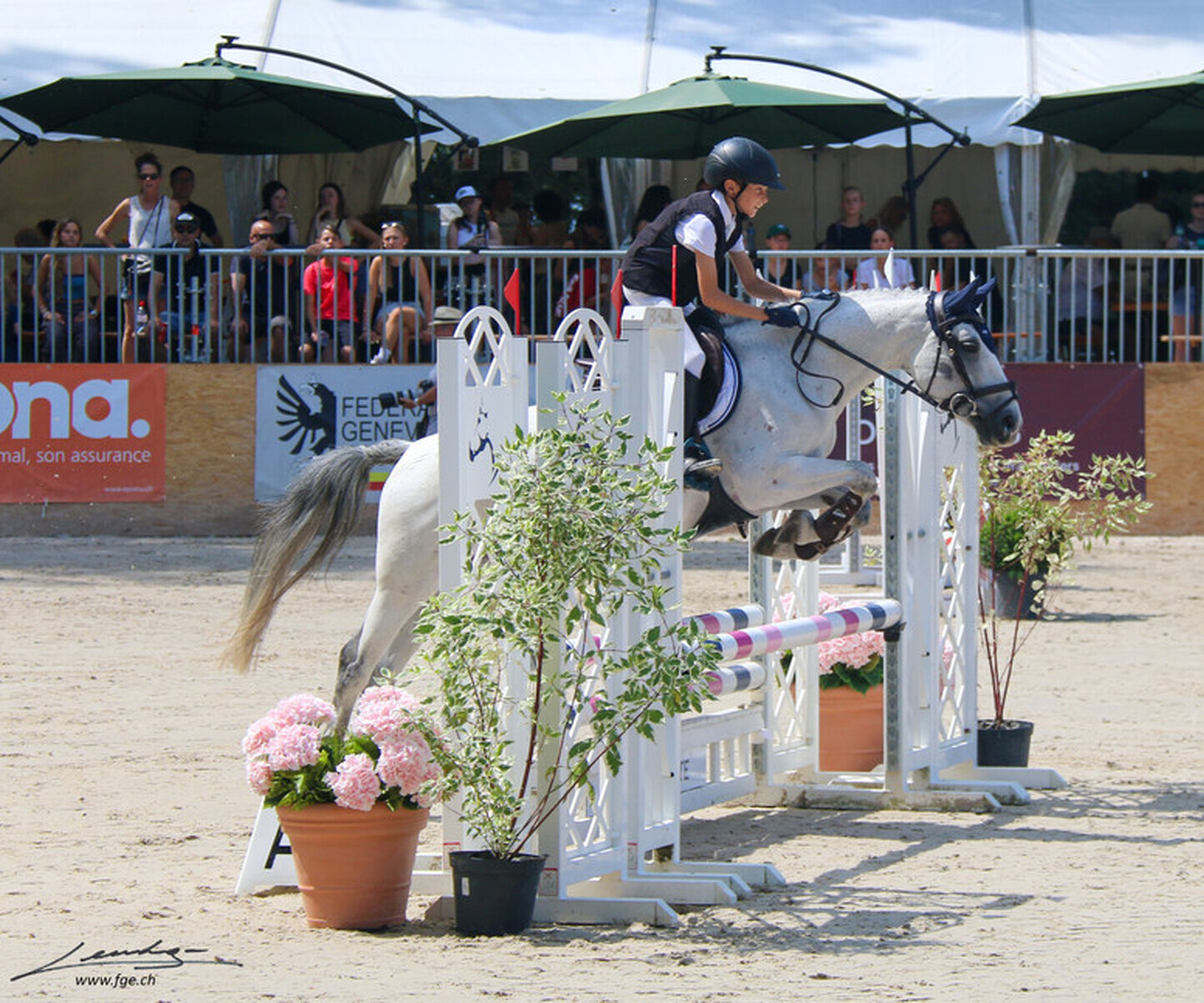 Description de l'image