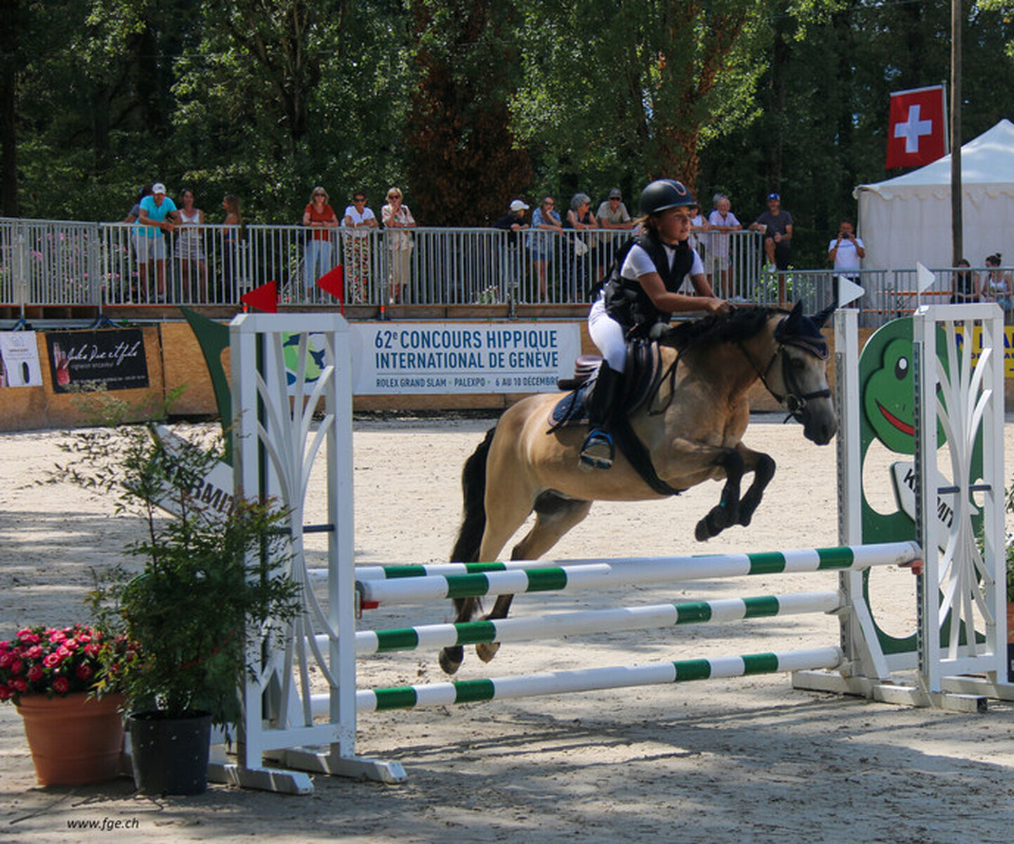 Description de l'image