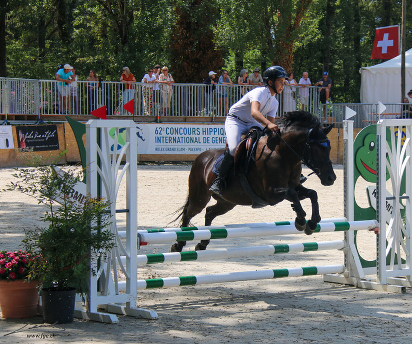 Description de l'image