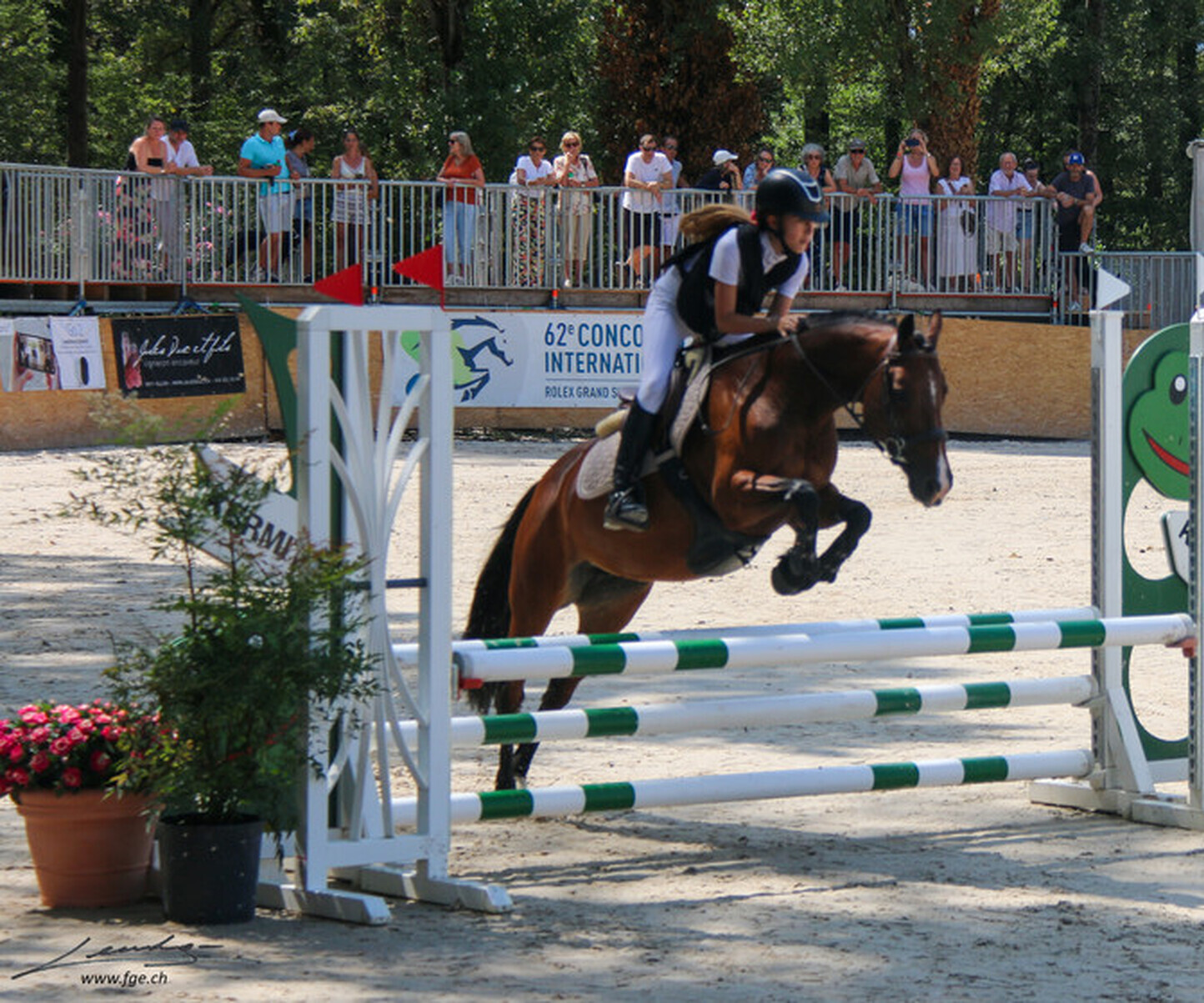 Description de l'image