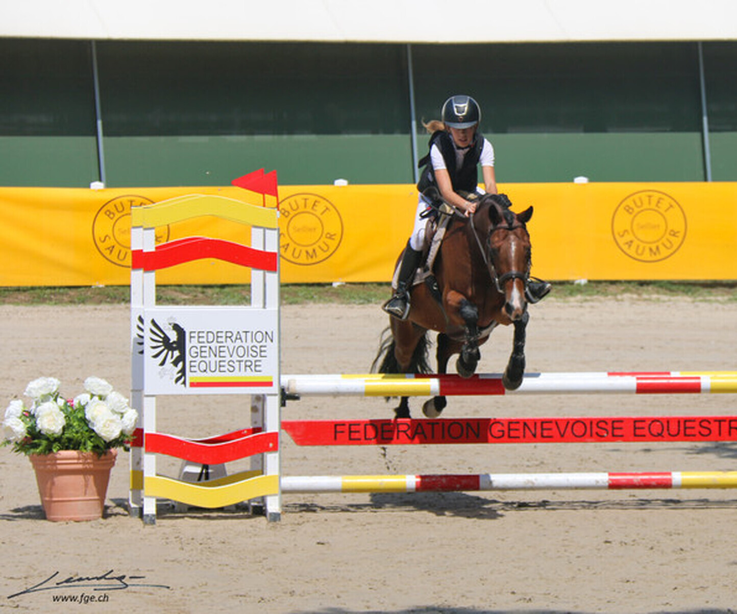 Description de l'image