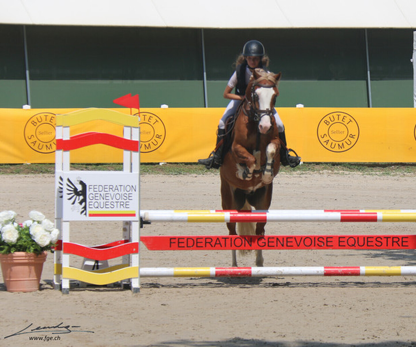 Description de l'image