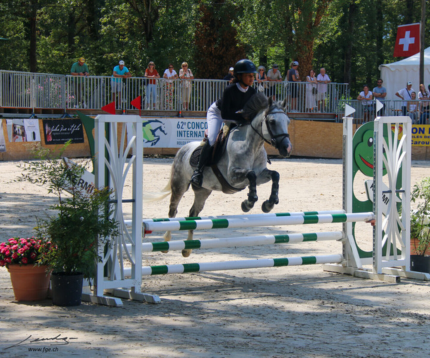 Description de l'image