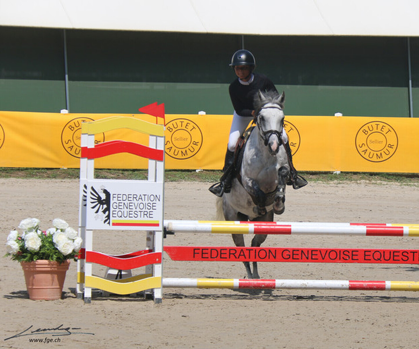 Description de l'image