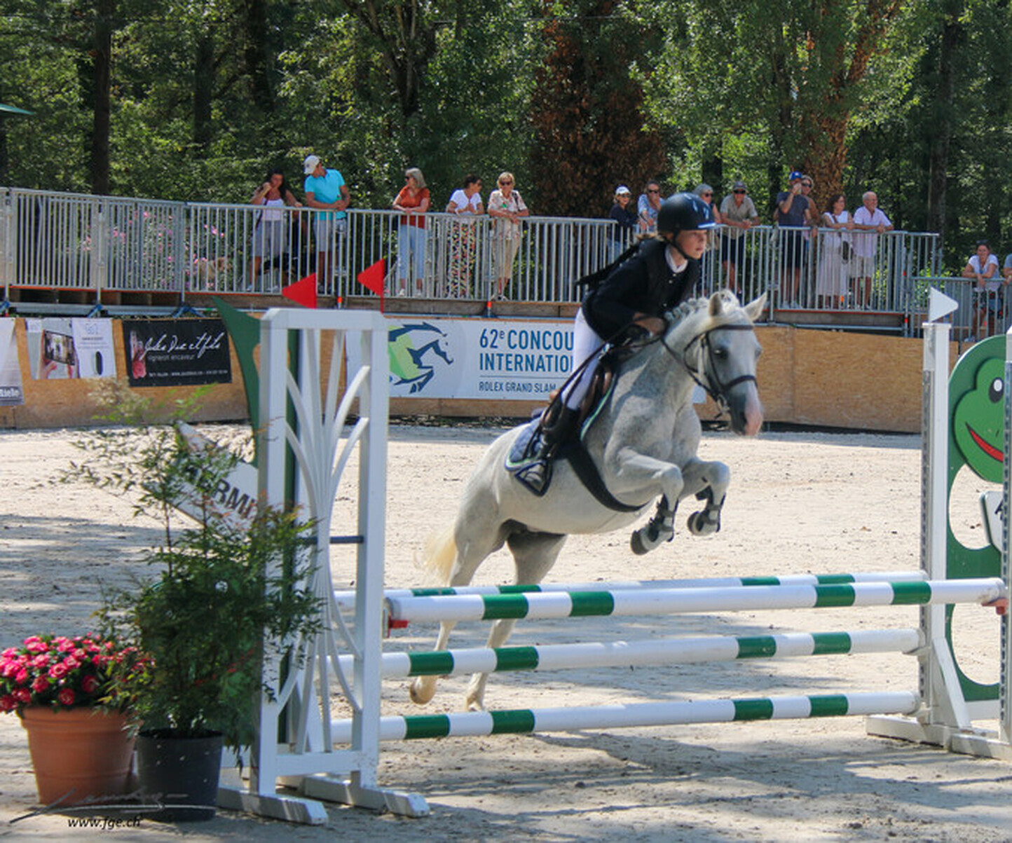 Description de l'image