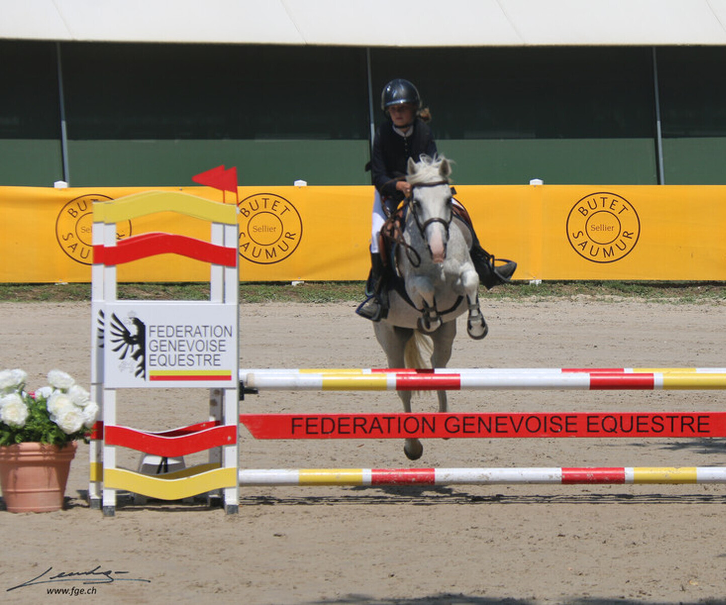 Description de l'image