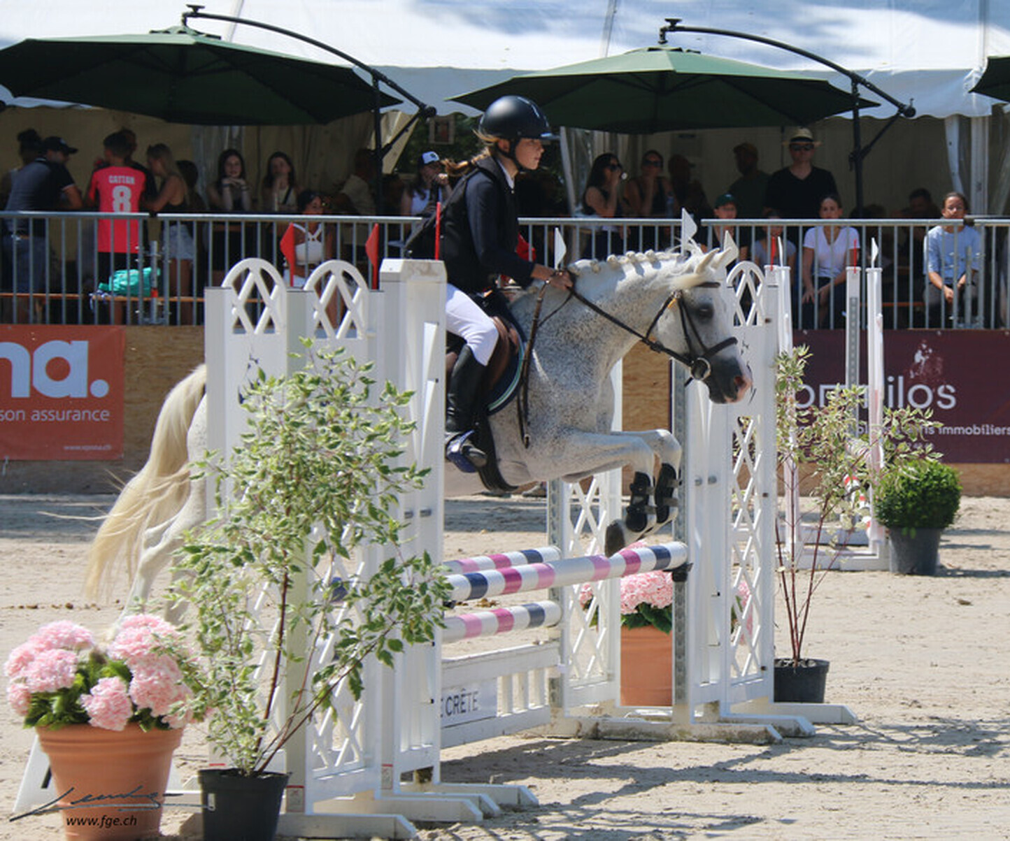 Description de l'image