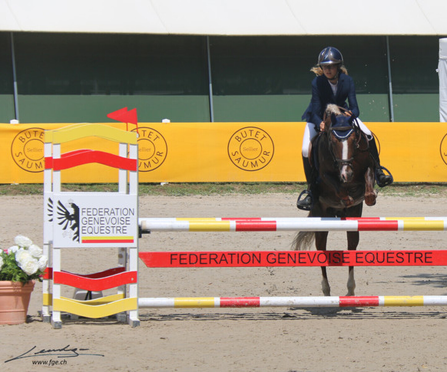 Description de l'image