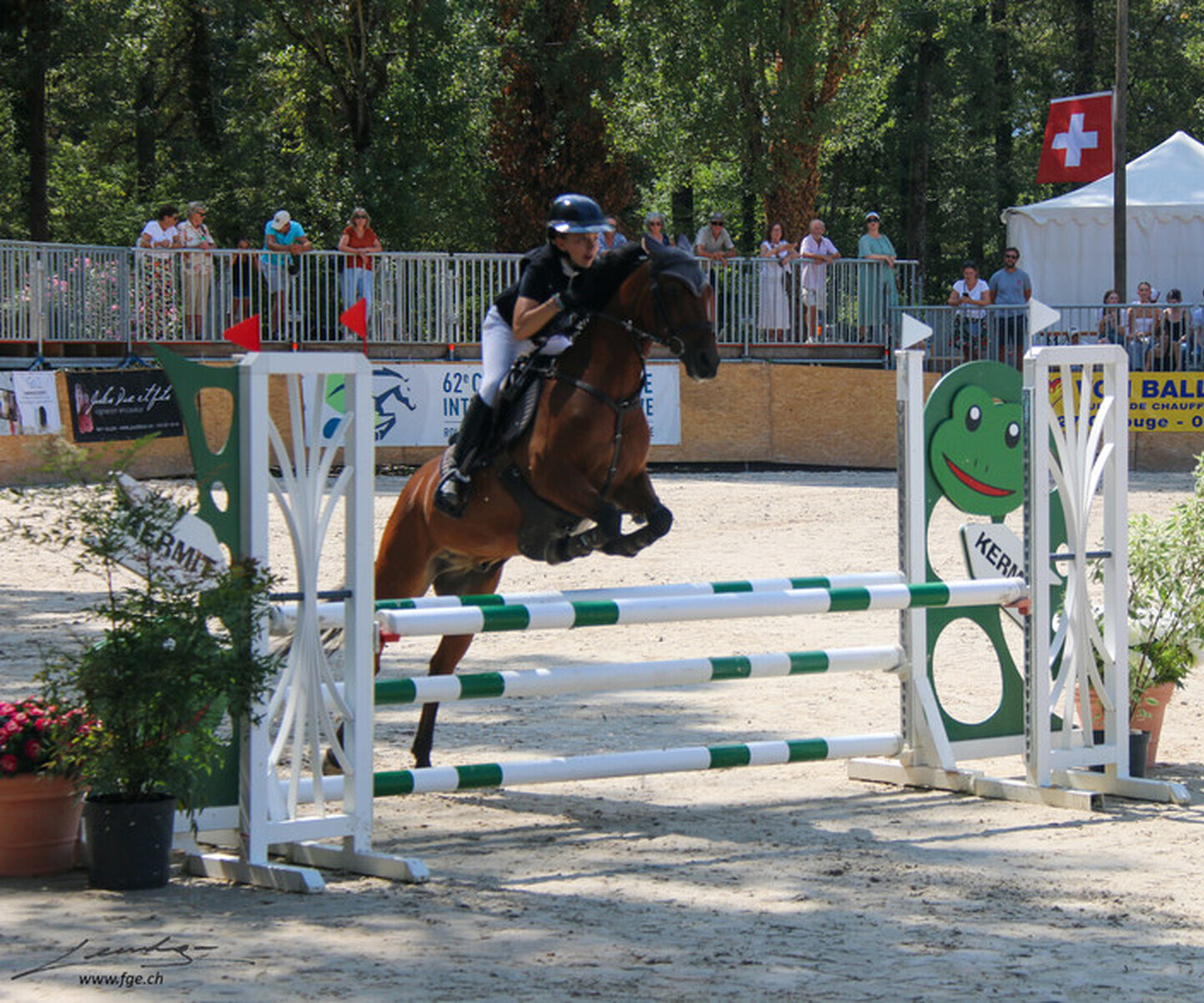 Description de l'image