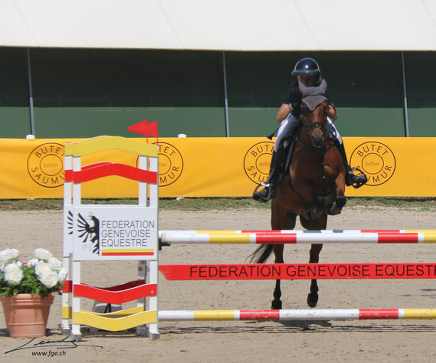 Description de l'image