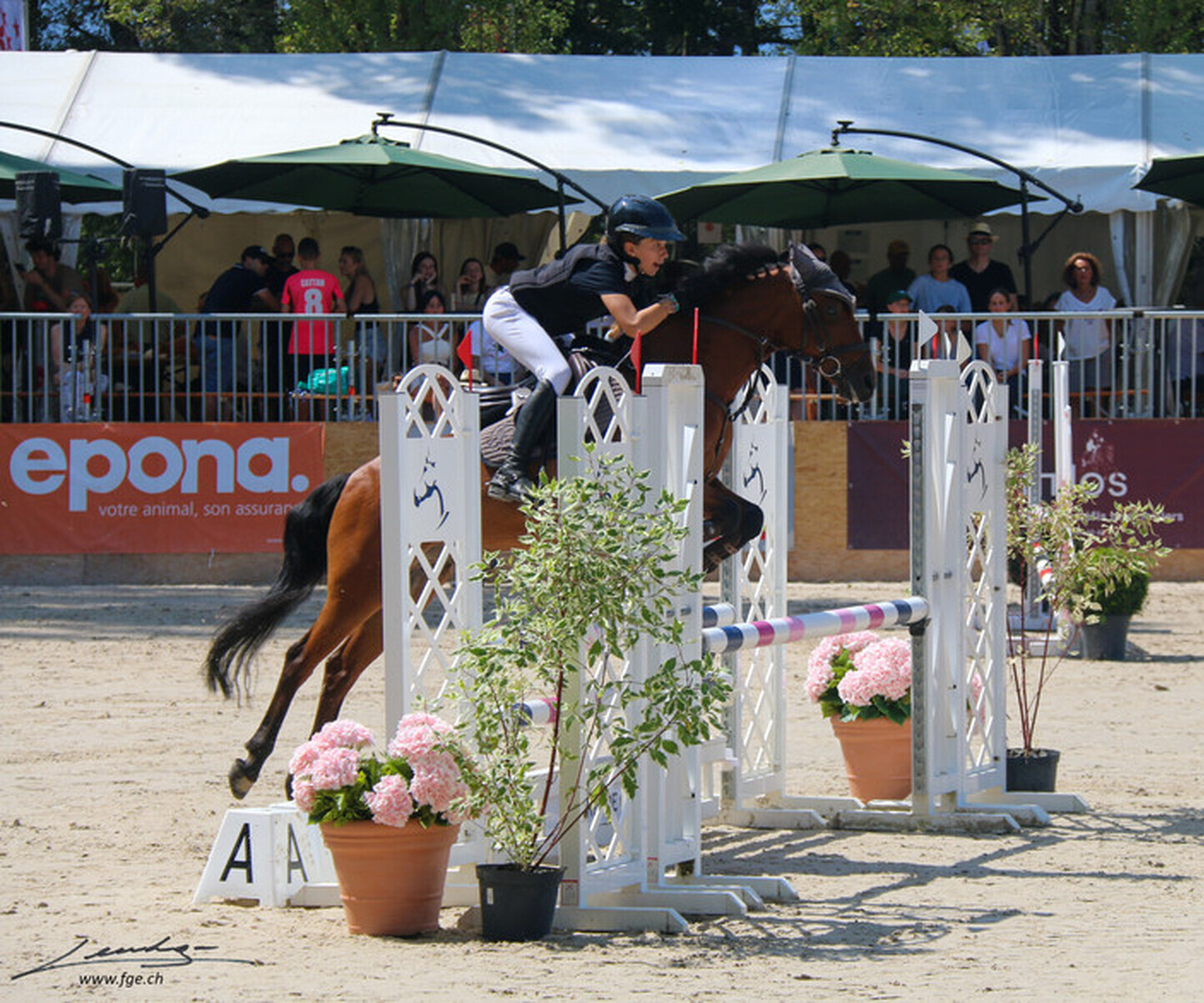 Description de l'image